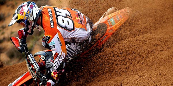 herlings_sand_king